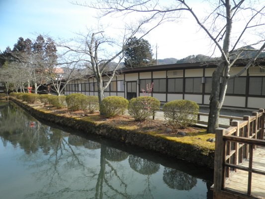hori1280222