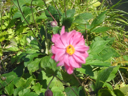 horikin261019