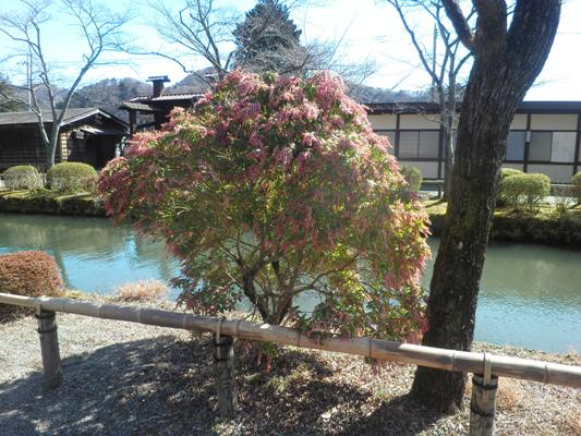 horimaeen270312