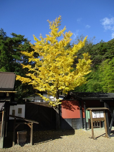 i2011112