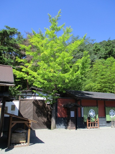 i2290905