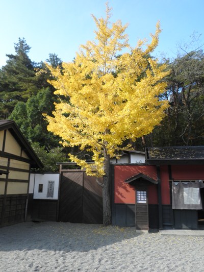 icho1271107