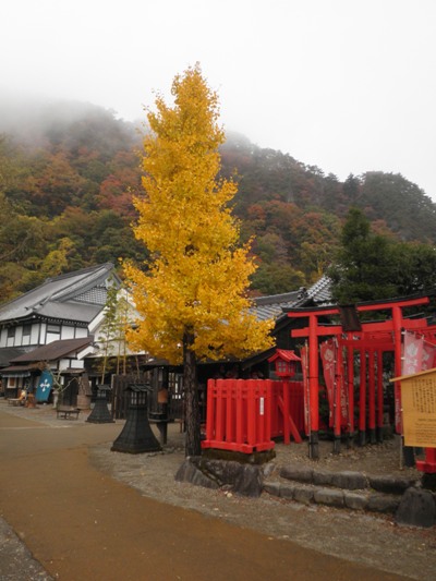 icho1271109
