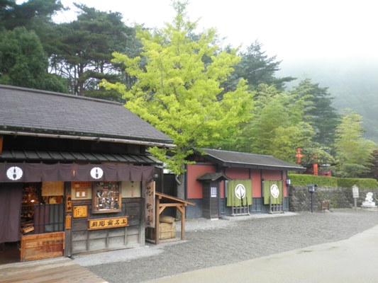 icho1281005