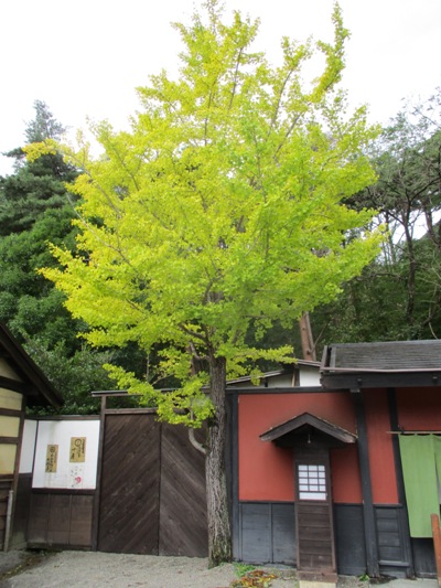 icho2291025