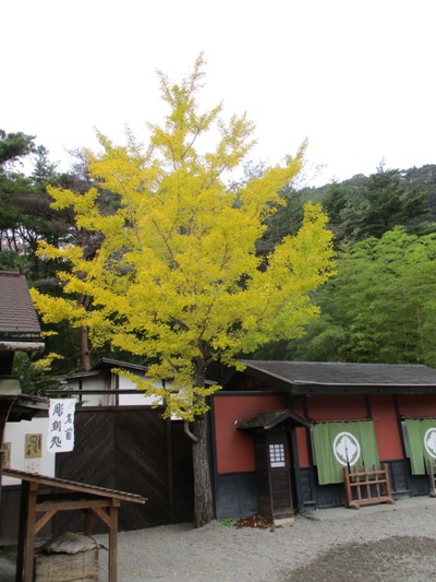 icho2291028