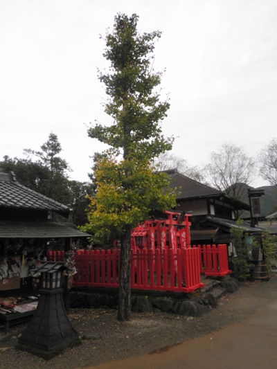 icho261101