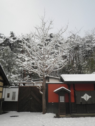 icho270215