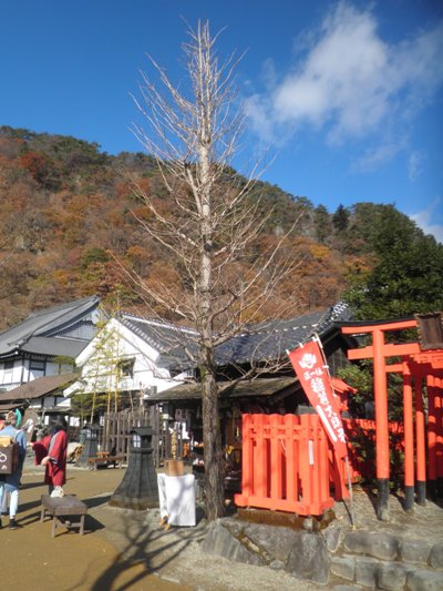 icho3281128
