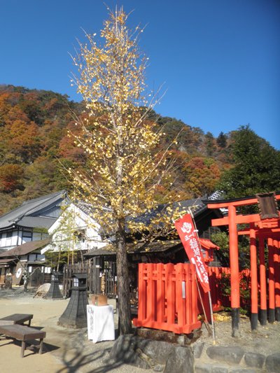 icho4281119