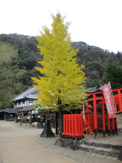 icho5291028