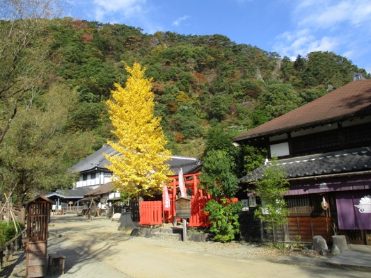 icho5291104