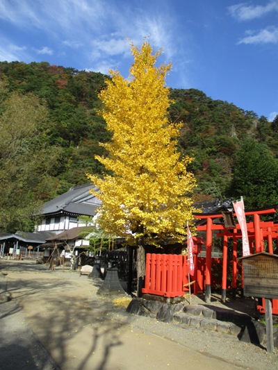 icho6291104