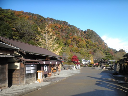 ichomiya1281115
