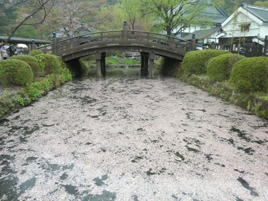 ikada270420