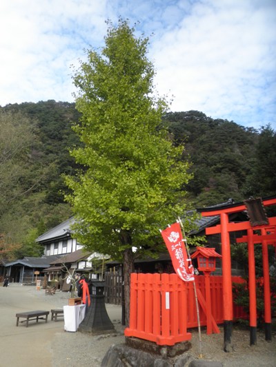 inari2281026