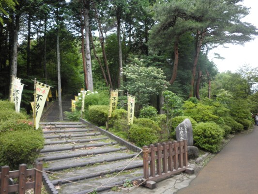 inu1en270711
