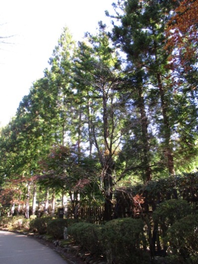j12011123