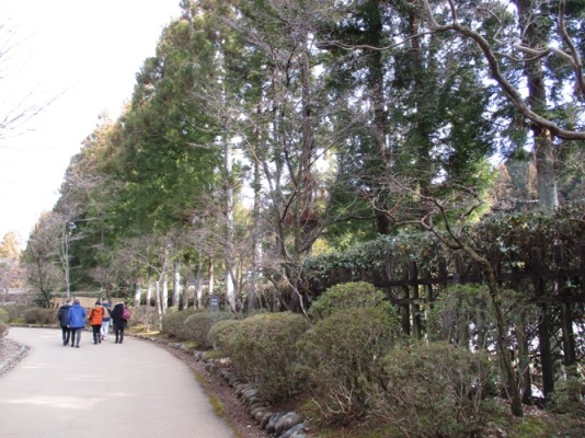 jyu1020121
