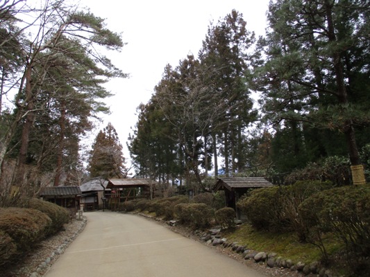 jyu1020131
