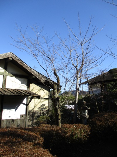jyu2020102