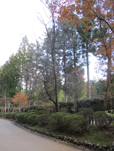 jyu2291128
