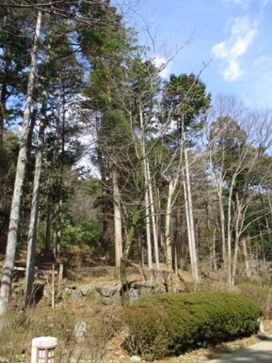 jyu2300320