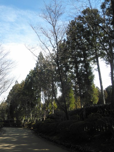 jyuen270326