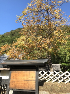 ka1301023