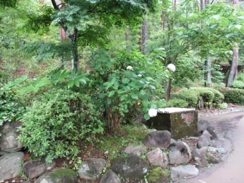 ka2010623
