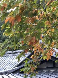 ka4301004