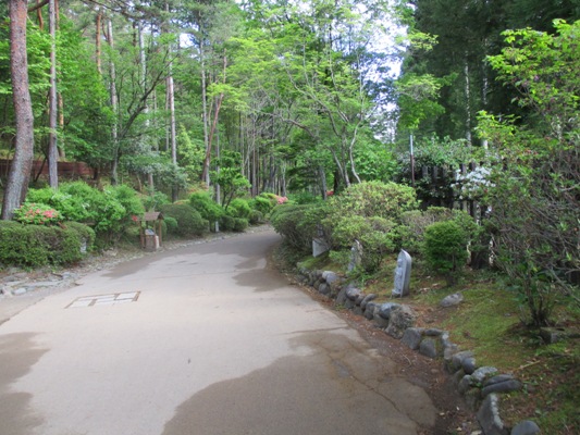 kaidou2290511
