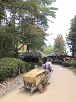 kaidou301025