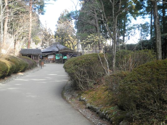 kaimi8280114