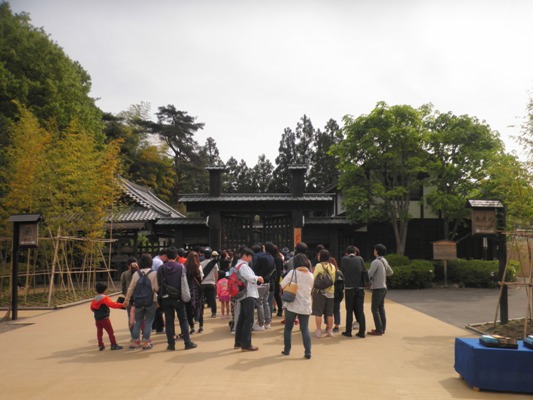 kaimon1280506