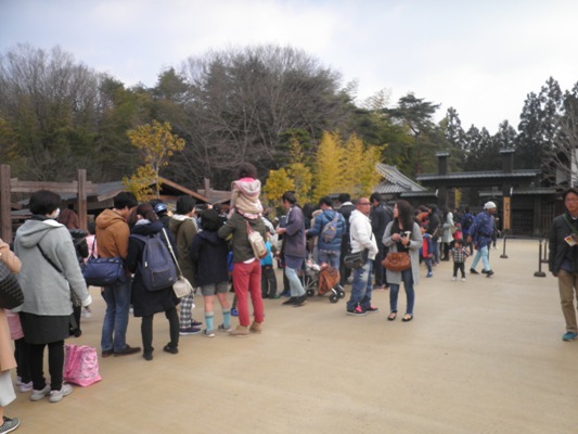 kaimon1290319