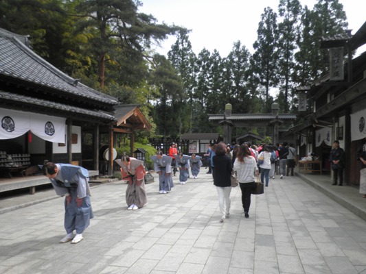 kaimon2280506