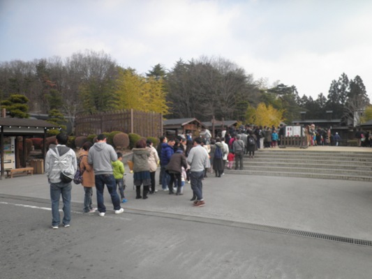 kaimon2290319