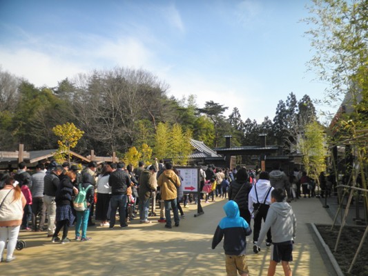kaimon280320
