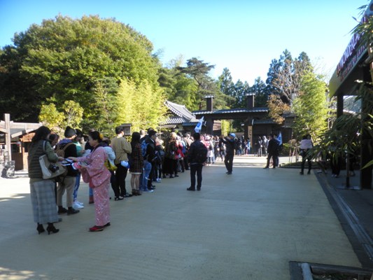 kaimon281105