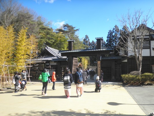 kaimon290309