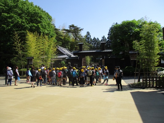 kaimon290520