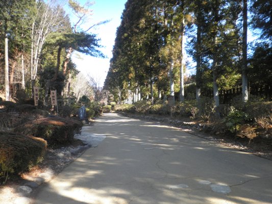 kaiodu290214