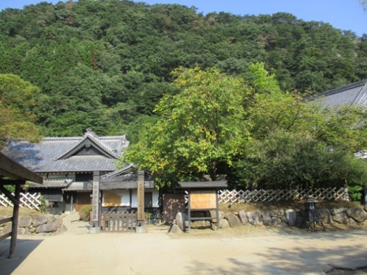 kaki1290929