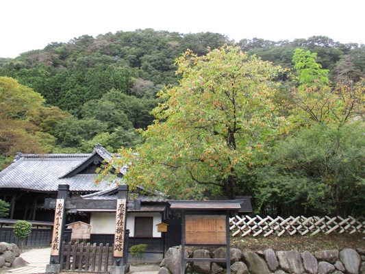 kaki2011016