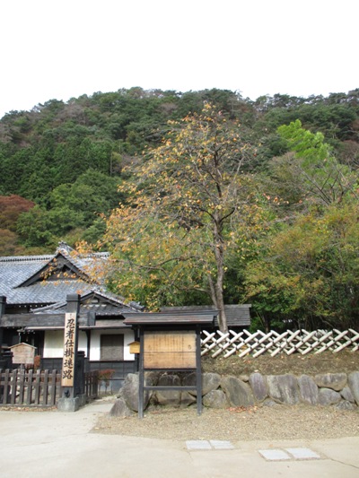 kaki2011109