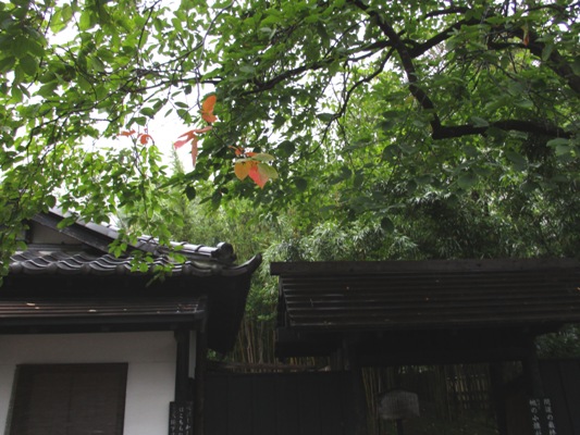 kaki3300914