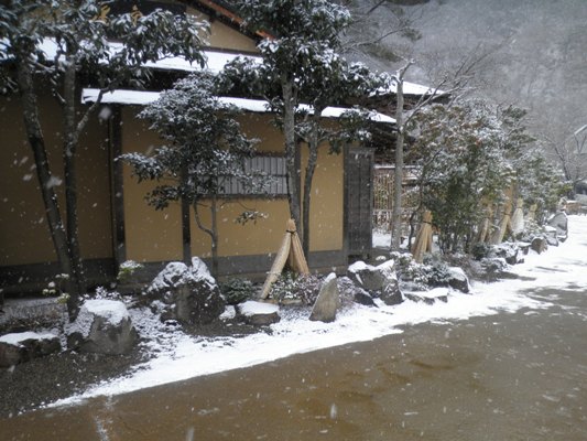 kan11290117