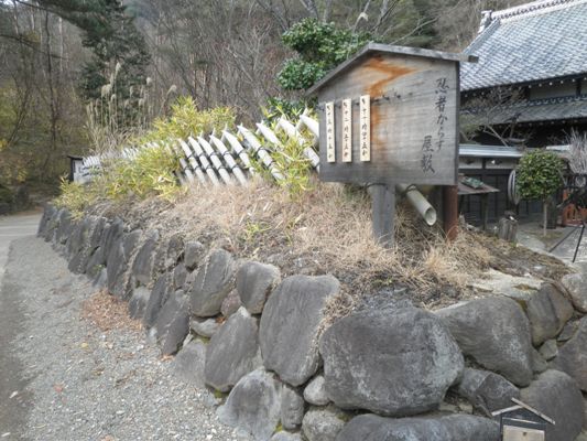 karasu1261206