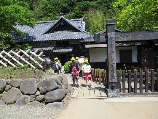 karasu290520